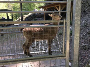 {{brizy_dc_image_alt imageSrc=