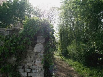 {{brizy_dc_image_alt imageSrc=