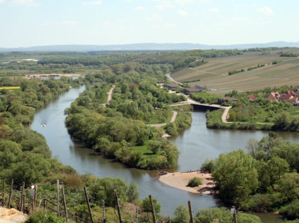 {{brizy_dc_image_alt imageSrc=