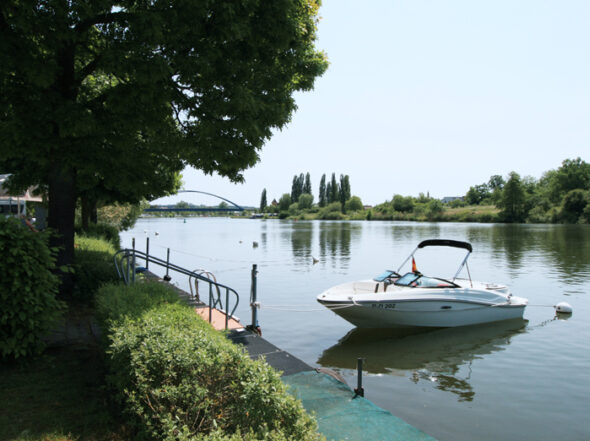 Wasserski oder Boot fahren am Main