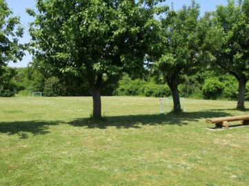 {{brizy_dc_image_alt imageSrc=