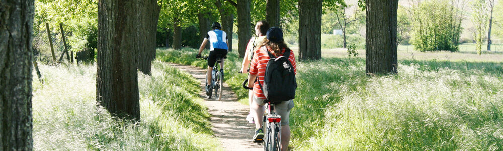 Sport- Radfahren